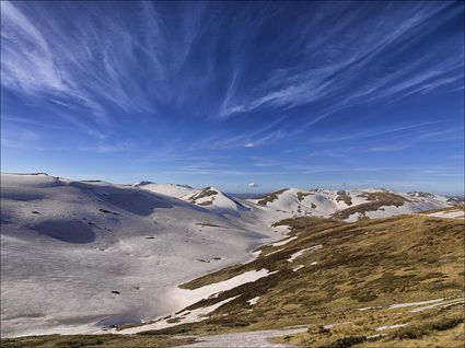 Near Rawsons Pass - Kosciuszko NP - NSW SQ (PBH4 00 10620)